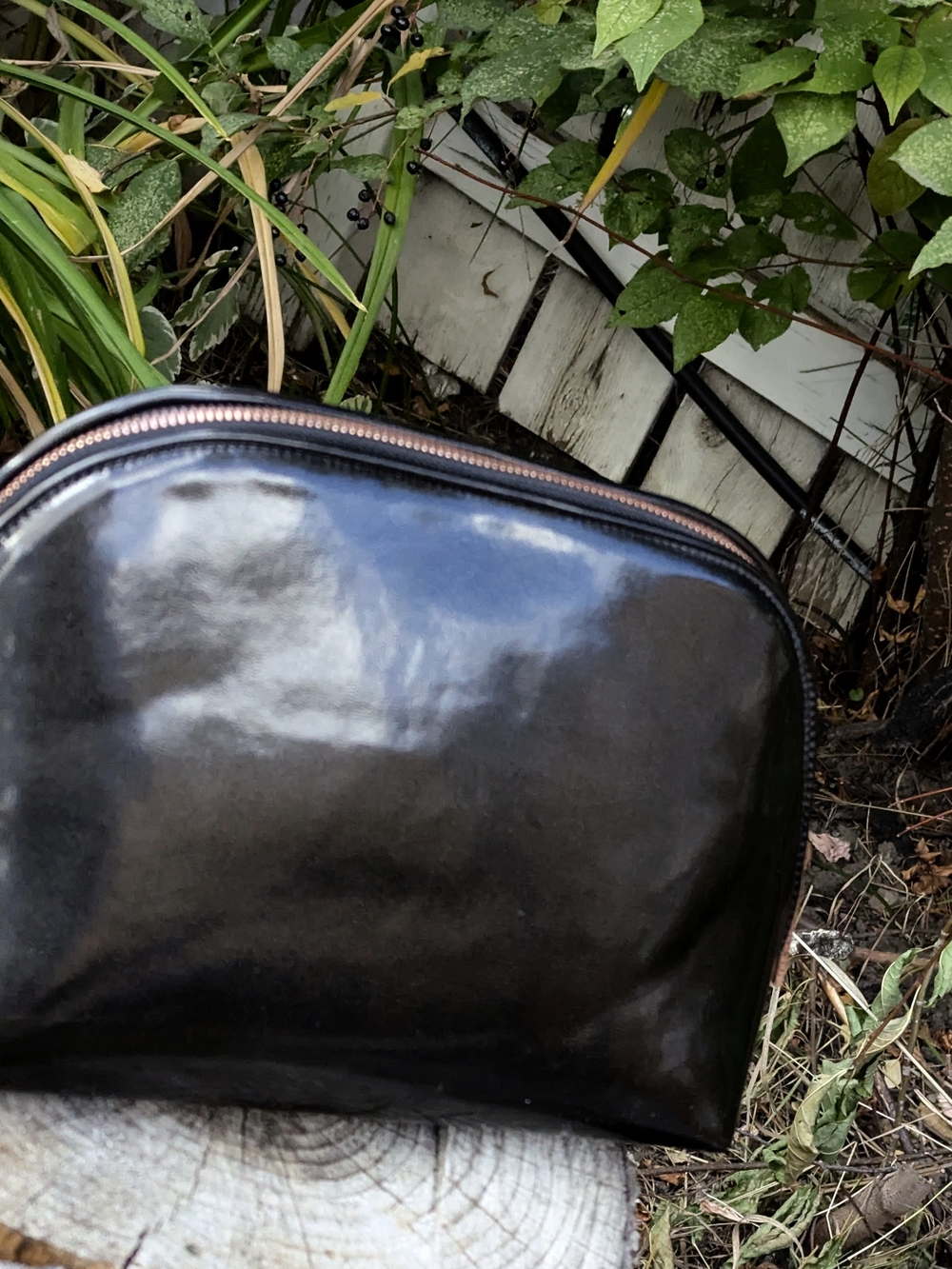 Holt Renfrew Patent Makeup Bag Glossy Quiet Luxury Minimalist Rose Gold - Picture 6 of 12